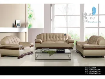 Modern Living Room Sofa