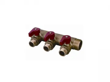 Brass Manifold BM06