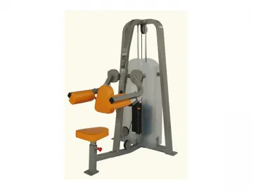 Lateral Raise Machine