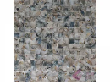 Shell Mosaic