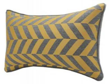 Stylish Throw Pillow