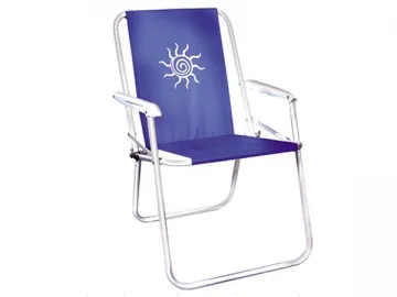 Leisure Chair