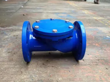 Rubber Flapper Check Valve