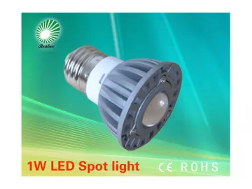 1*1W LED Spotlight