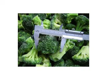 Shelf Life 24 Months IQF Broccoli