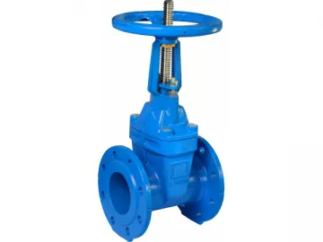 BS-Rising Stem Gate Valve