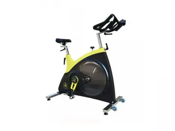 7010D Indoor Cycling Bike