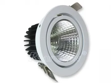 Exlite Bridgelux High Flux LED Downlight