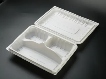 Disposable Takeaway Food Container