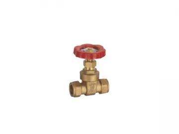 Brass Gate Valve GV-5