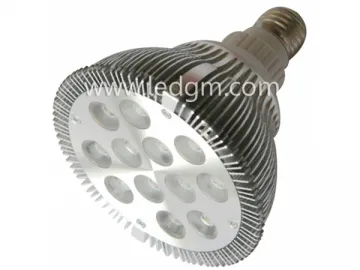 PAR38 High Brightness LED PAR Light 12*2W