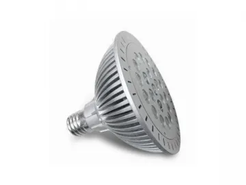 PAR56 LED Spotlight