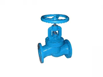 SHC-4E Globe Valve