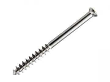 Cancellous Screw