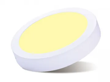 LED Ceiling Light