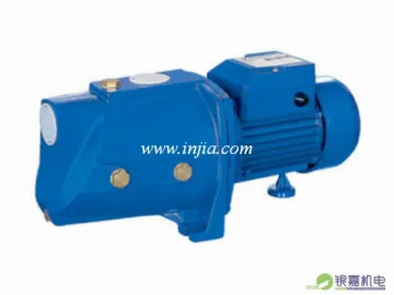 JSW Self Priming Pump