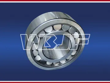 Double-Row Cylindrical Roller Bearings