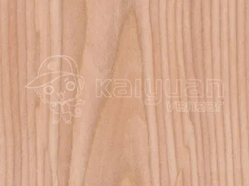 Engineered Veneer