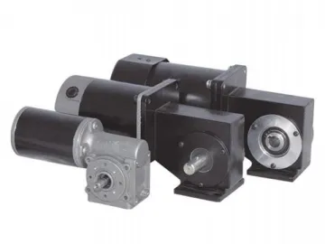 AC Worm Gear Motor and DC Worm Gear Motor