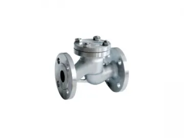 Check Valve