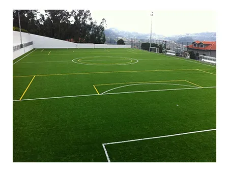 Multi-sports Turf