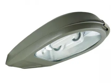 40W Induction Street Light