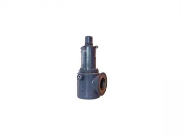 Safety Valve with Jacket