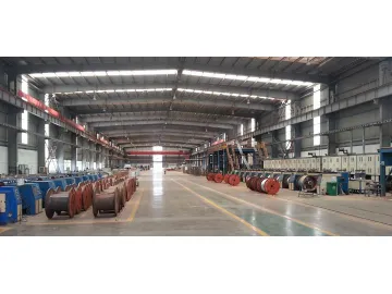 Steel Wire Hot-Dip Galvanizing Line