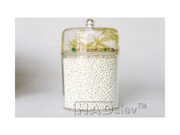 Hydrogen Peroxide Activated Alumina