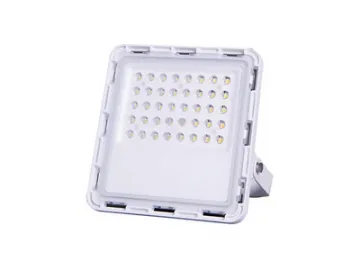 LED Flood Light，Item CET-109 LED