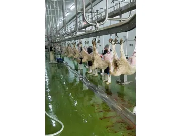 Lamb Processing Plant for HaiDiLao Hotpot