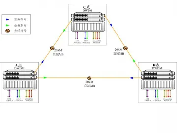 DWDM Back-to-Back Solution