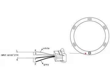 Circular LED Tube Lamp