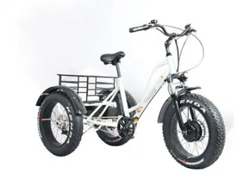 TG-T001 Fat Tire Electric Trike