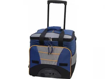 Cooler Bag with radio BWD