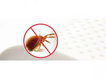 Anti-Bacteria Anti-Mite Mattress