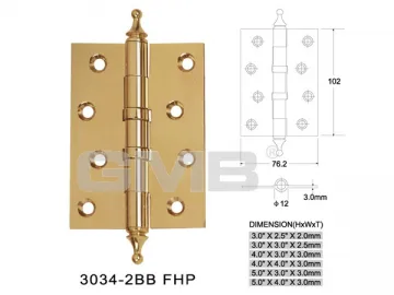 Brass Hinge