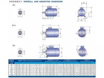 Electric Motor, MC Series