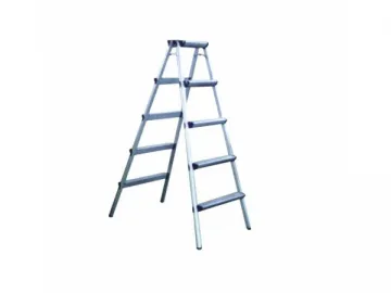 Ladder