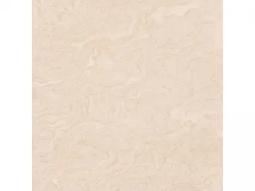 Soluble Salt Vitrified Tiles