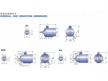 Electric Motor, Y2 Series