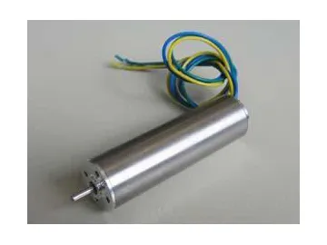 16mm Brushless Motor