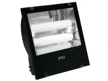 004 Series Induction Flood Light