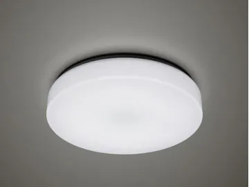 White Dimmable Flush Mount LED