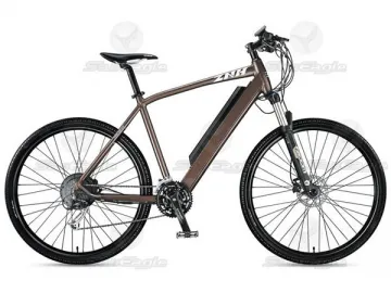 Carbon Fiber Electric Bike