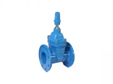 BS-GBCT GBHT-TT TR Gate Valve