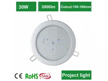 DL21170 LED Floodlight