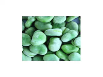 Fresh and Frozen Broad Beans (IQF Vegetable)