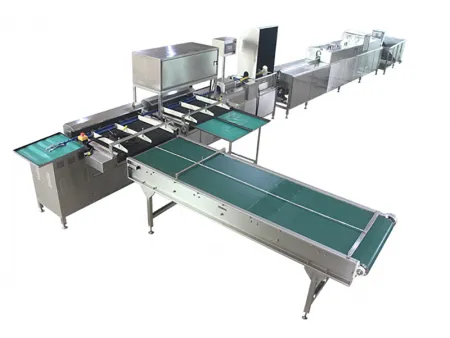 302B Duck Egg Processing Line with Water Bath Loading & Washing & Grading (10,000 EGGS/HOUR)