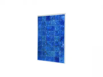 Polycrystalline Silicon Solar Module - Large